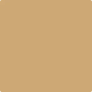 1103: Camel Back  by Benjamin Moore