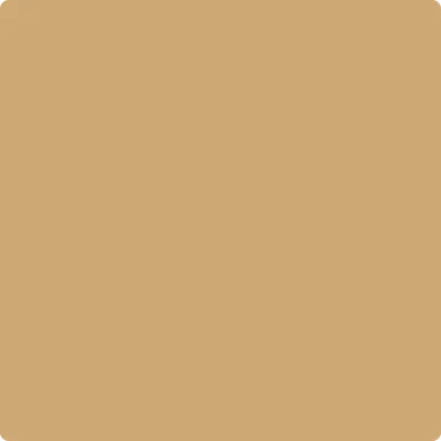 1103: Camel Back  by Benjamin Moore