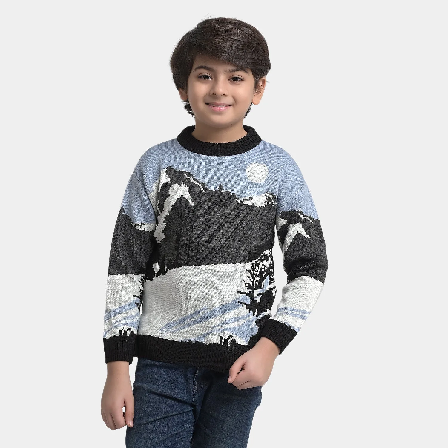 Boys Sweater - Multi