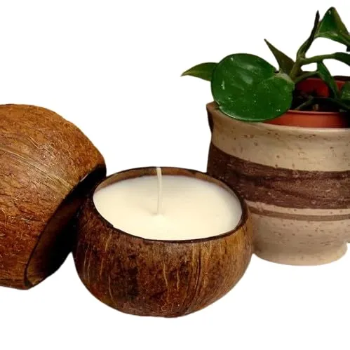 Coconut Shell Candle Organic Material Cover Delight Decorative