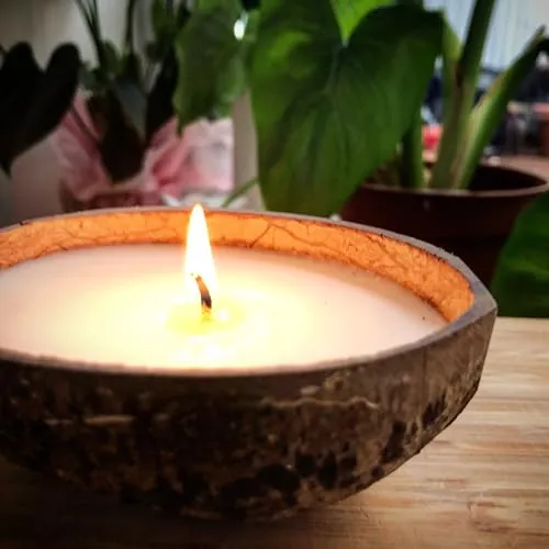 Coconut Shell Candle Organic Material Cover Delight Decorative