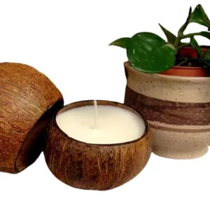 Coconut Shell Candle Organic Material Cover Delight Decorative