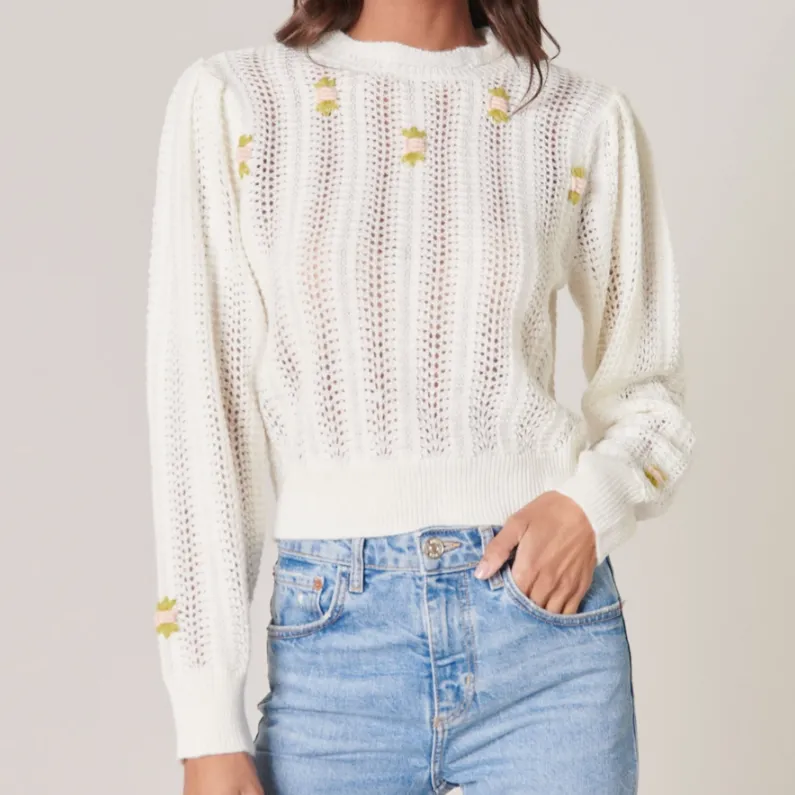 Emiliana Floral Embroidered Pointelle Sweater