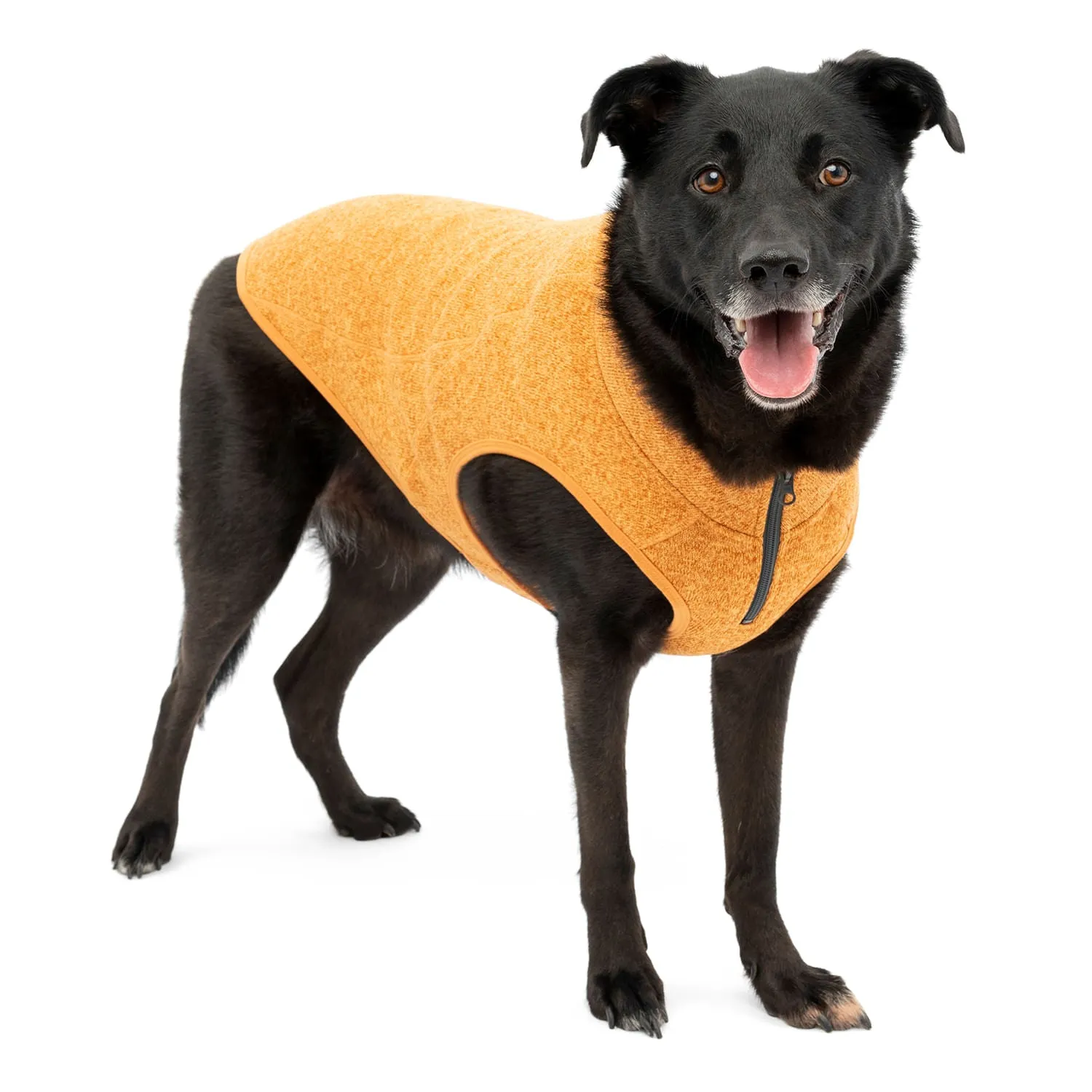 Kurgo K9 Core Sweater