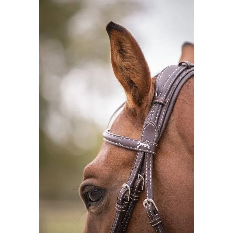 Penelope - Elegance Bridle